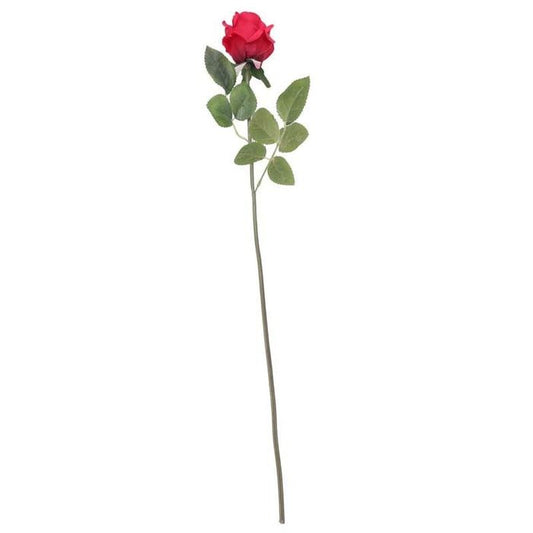 Arundel Rose Bud Red