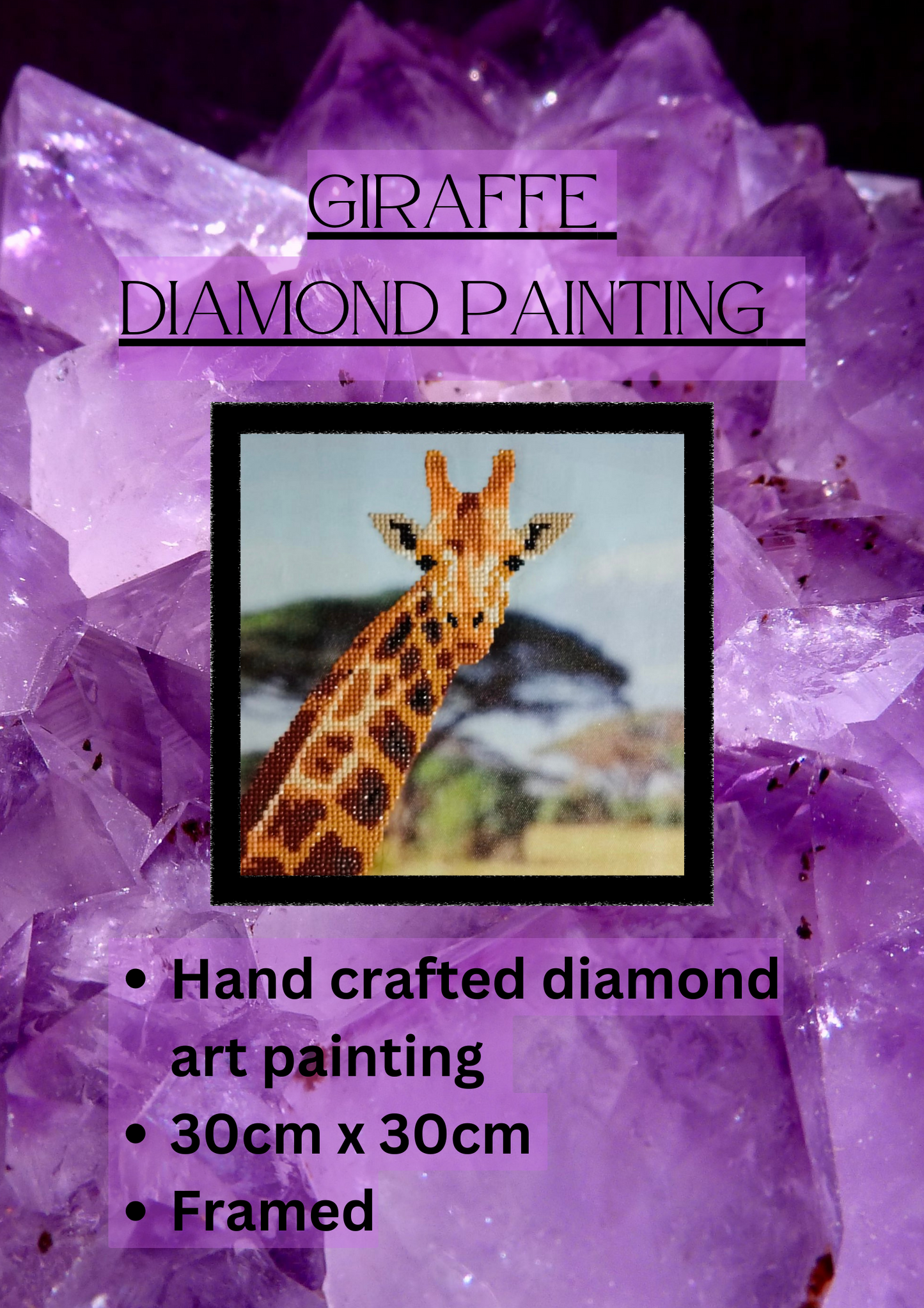 Diamond Art Paintings